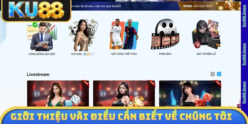 Giới thiệu vài cần biết về chúng tôi - thương hiệu hàng đầu 2026