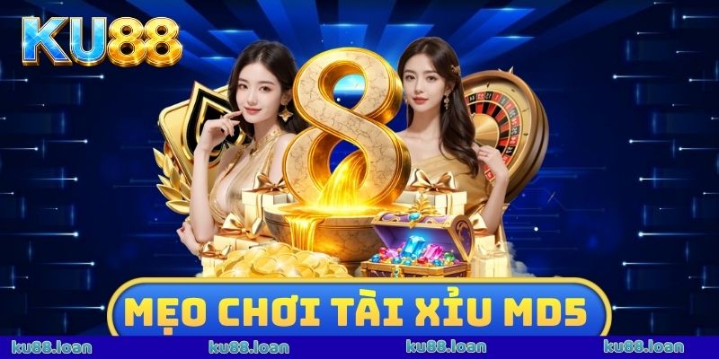 Mẹo Chơi Tài Xỉu MD5